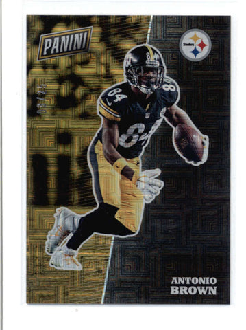 ANTONIO BROWN 2017 PANINI THE NATIONAL #FB19 ESCHER SQUARES PARALLEL #/25 AC673