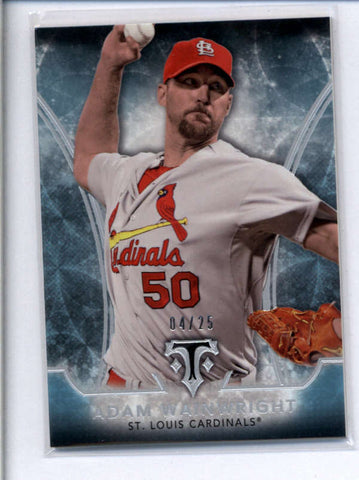 ADAM WAINWRIGHT 2015 TOPPS TRIPLE THREADS #41 SAPPHIRE PARALLEL #04/25 AB8082